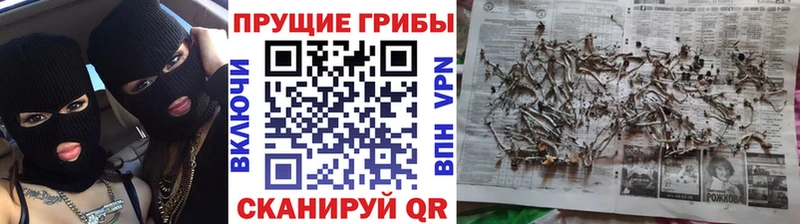 Галлюциногенные грибы мухоморы  Ардатов 